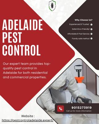 Services | Termite Inspections Service for Complete Home Safety in Adelaide